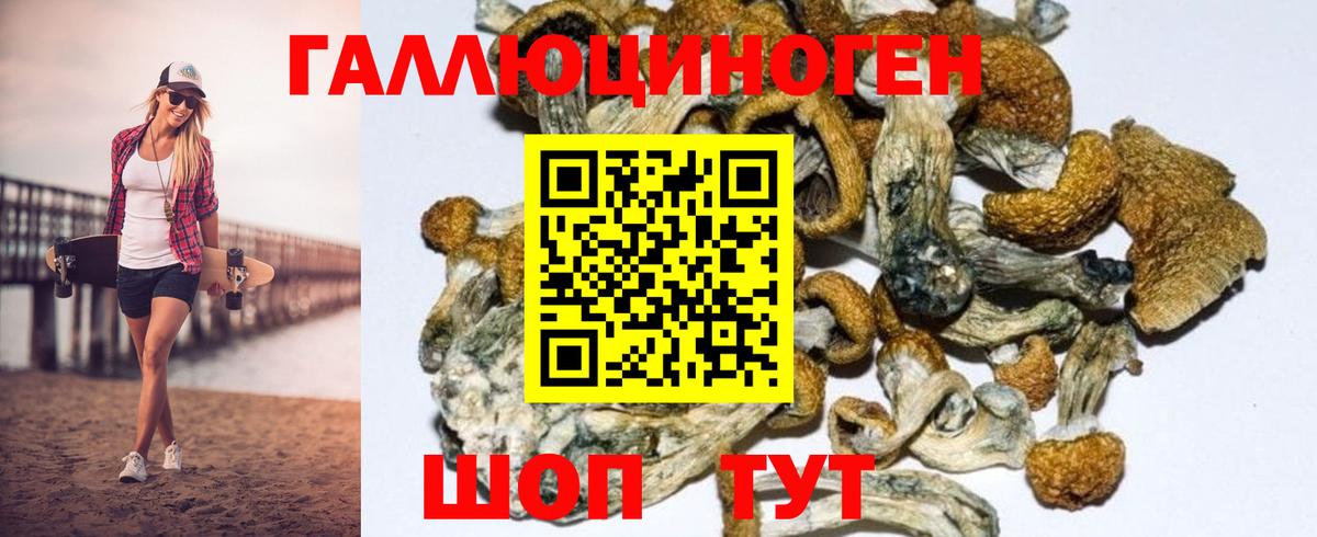 Псилоцибиновые грибы мухоморы Шатура