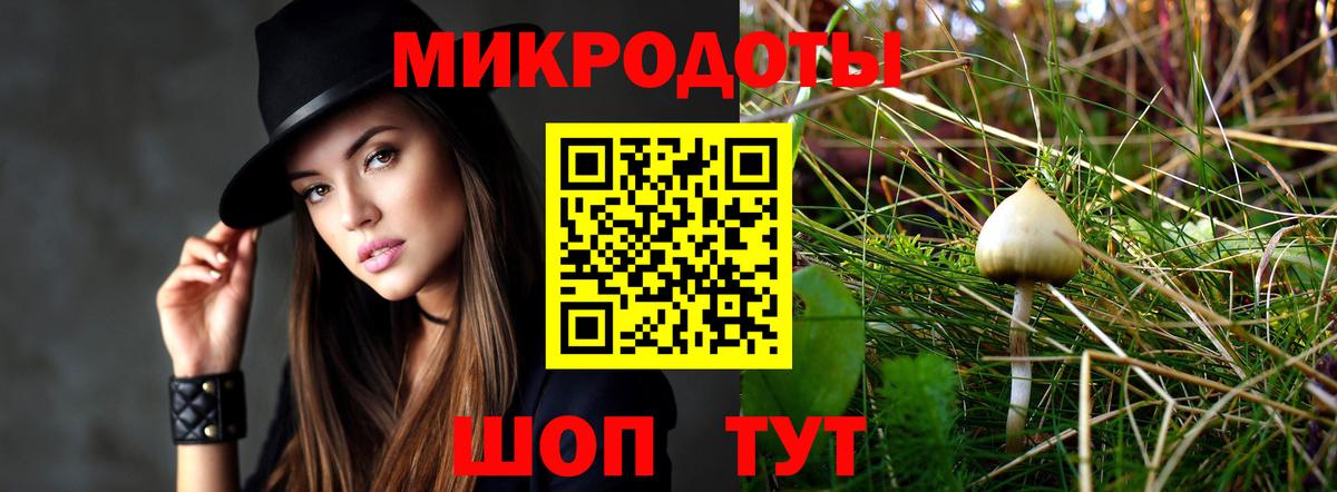 Галлюциногенные грибы Psilocybe  Псилоцибиновые грибы MAGIC MUSHROOMS  Вход с VPN  Шатура 